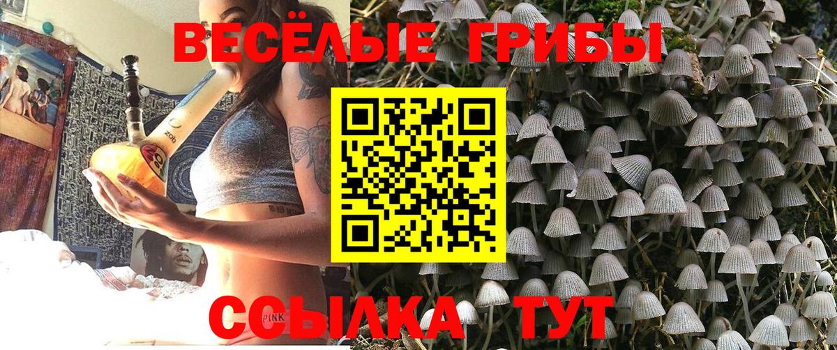 Псилоцибиновые грибы GOLDEN TEACHER  Вход с VPN  наркошоп  Севастополь 